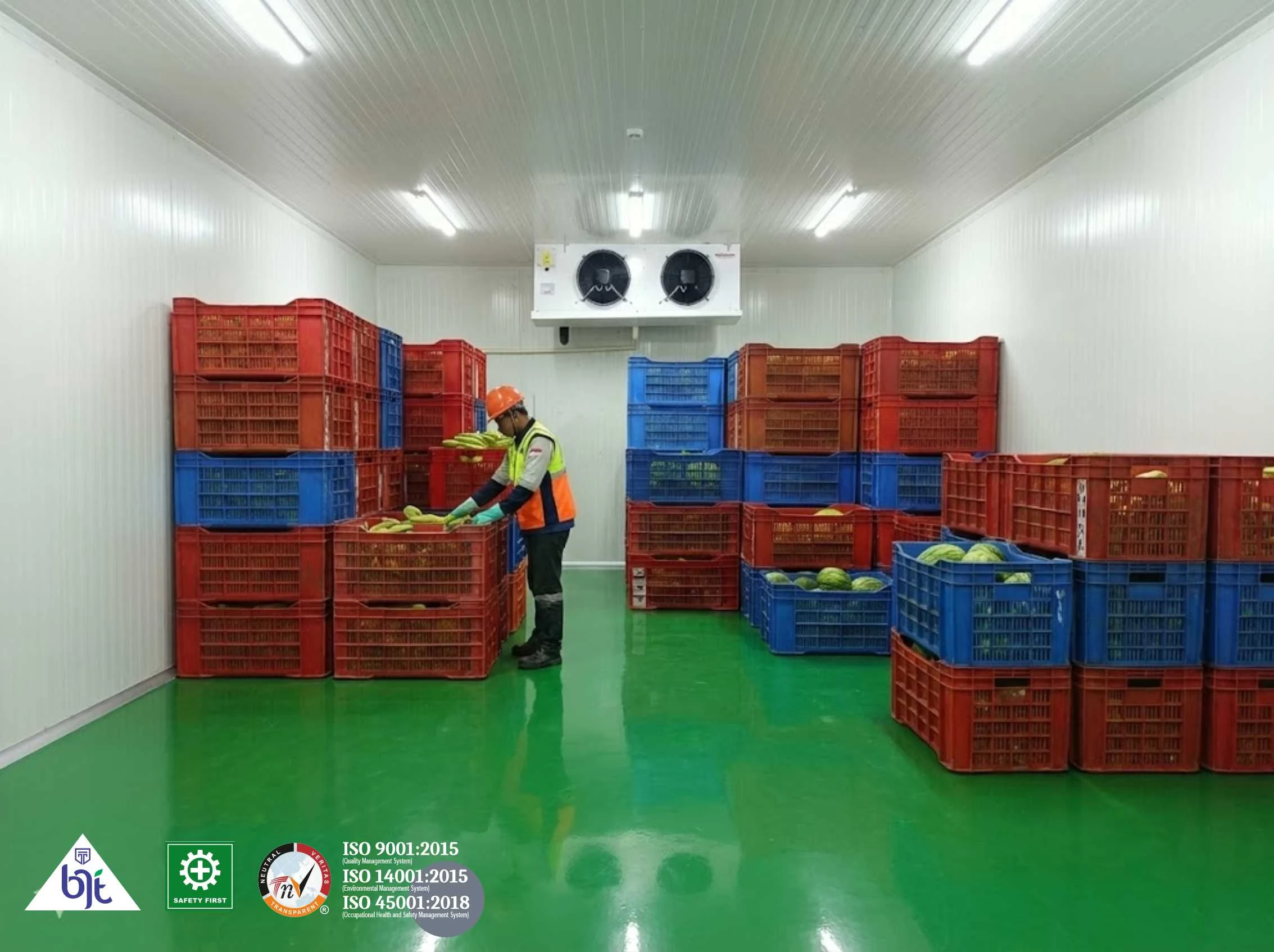 Cara Memilih Cold Storage Chiller-Freezer untuk Industri Modern